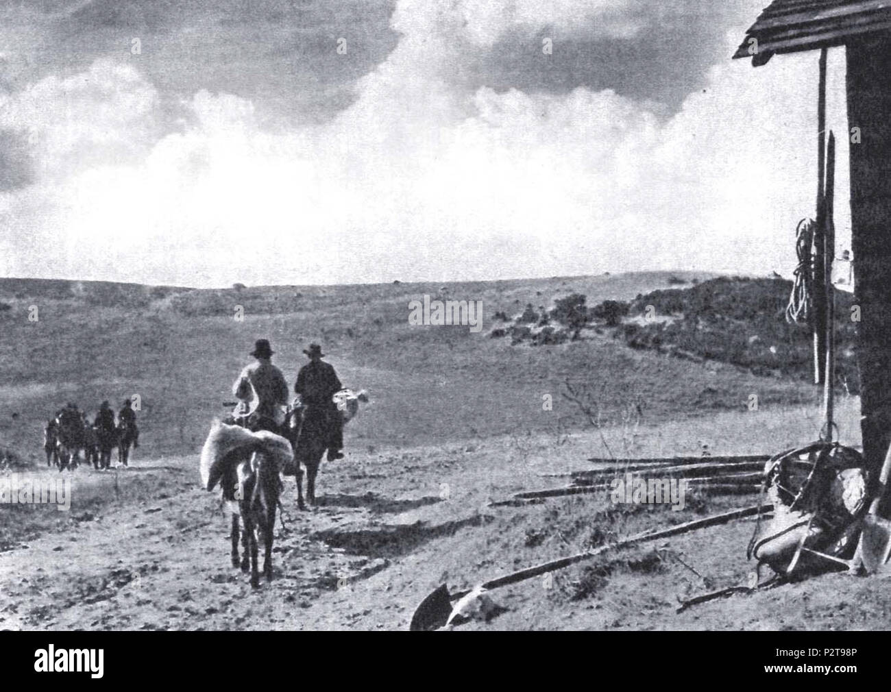 . Italiano: Foto di Scena del film Terra di None (Baffico, 1939). Vom 8. Juli 2016. Unbekannt 86 Terra - None 939 - prateria Stockfoto