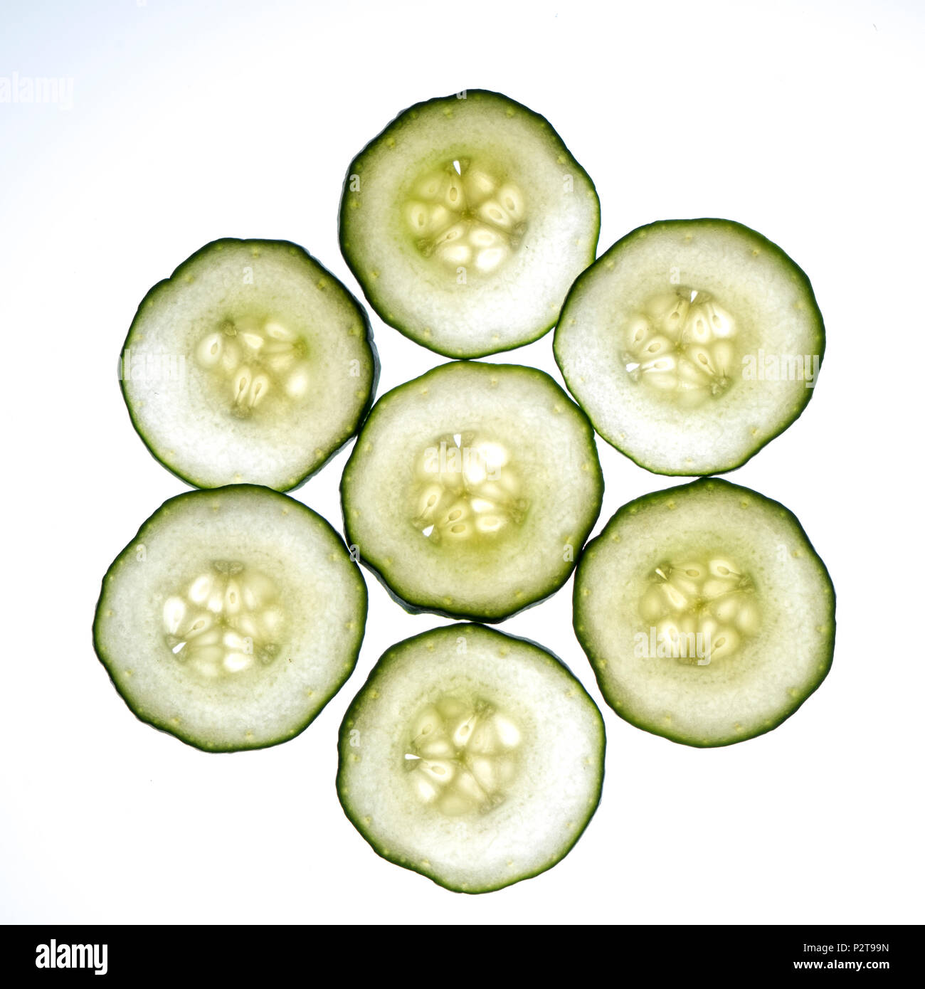 Zucchinischeiben beleuchtet von der Rückseite Stockfoto