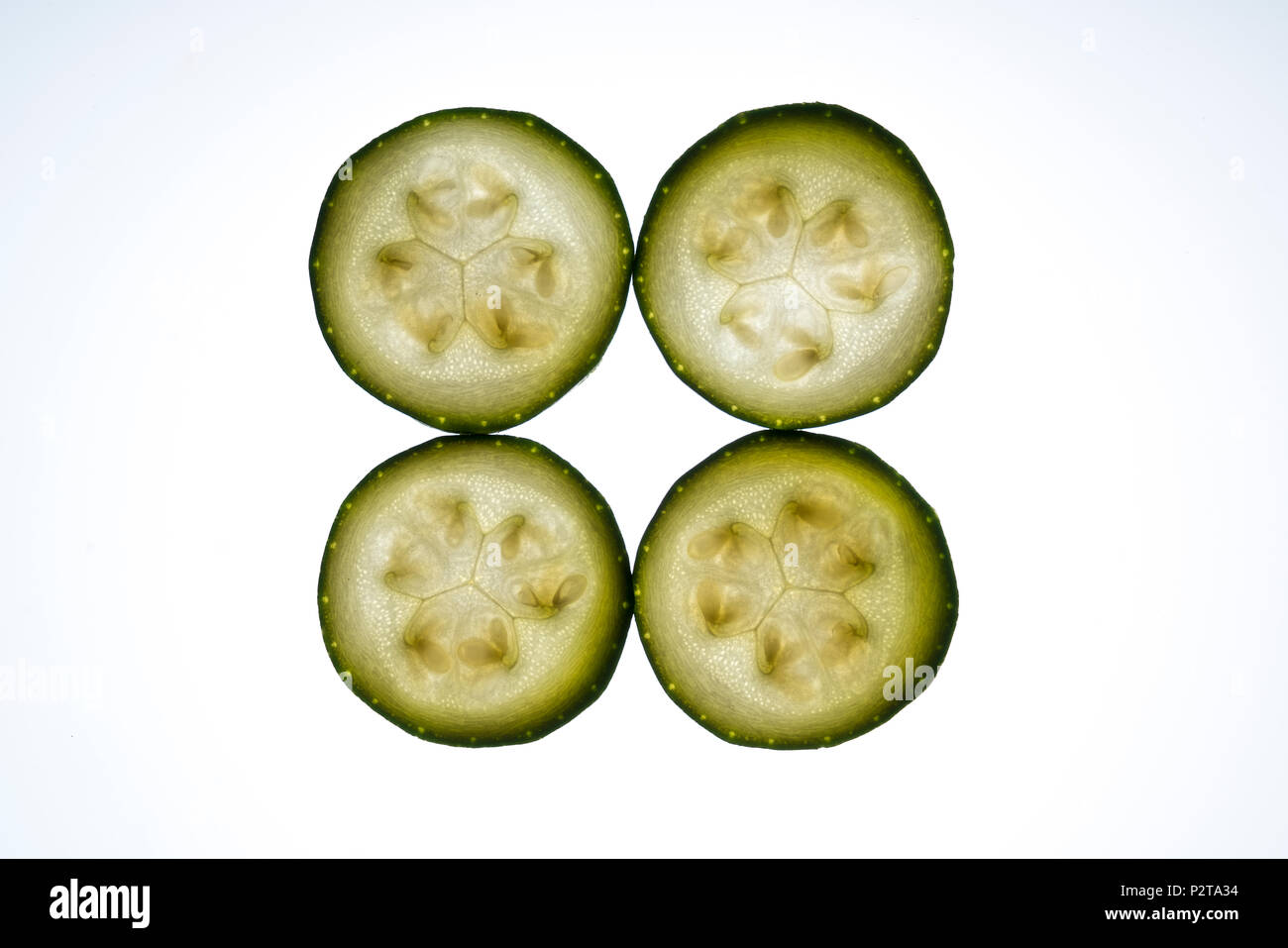 Zucchinischeiben beleuchtet von der Rückseite Stockfoto