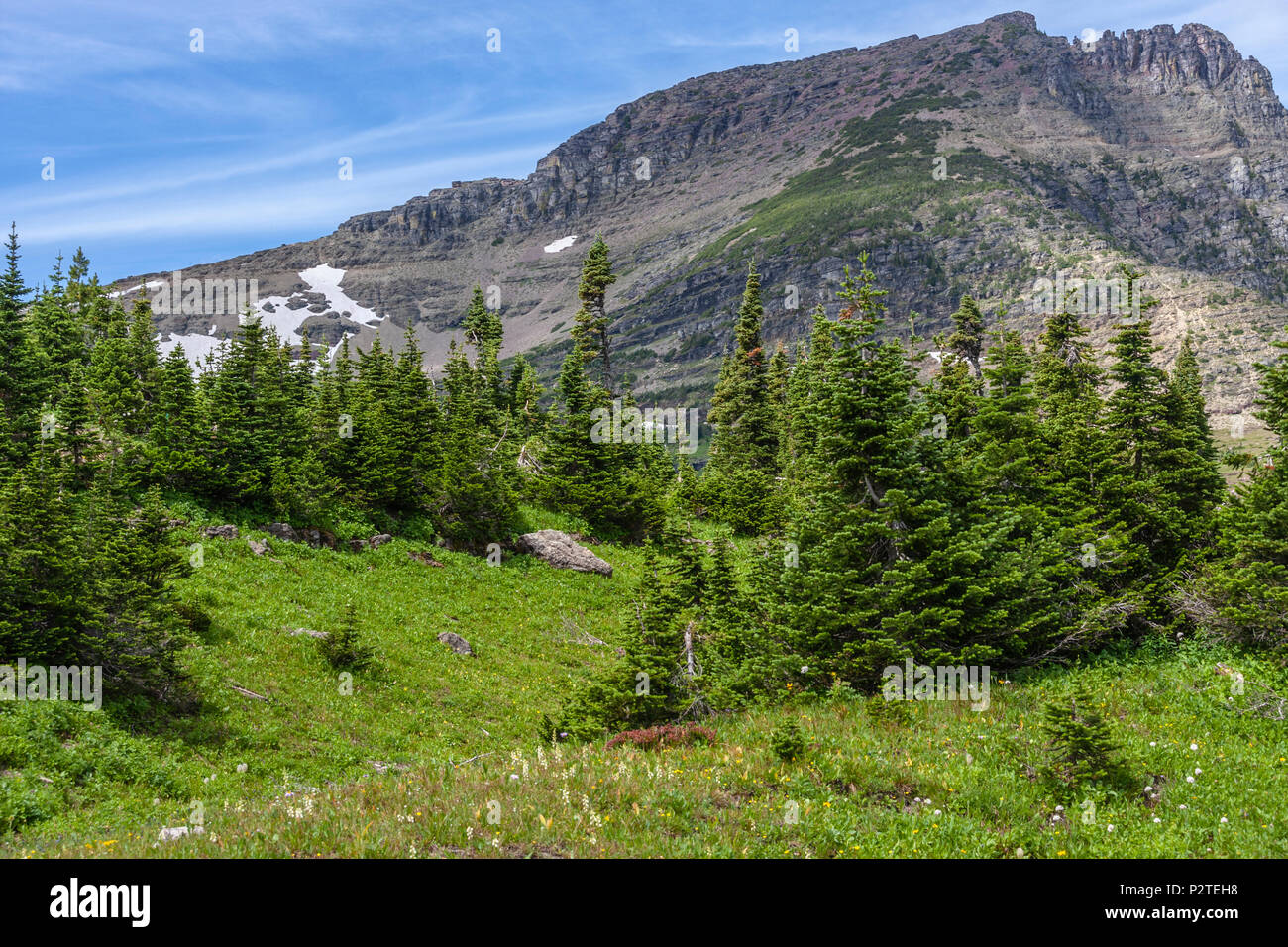 Mount Oberlin bei Logan's Pass Bereich des Glacier National Park in Montana. Stockfoto