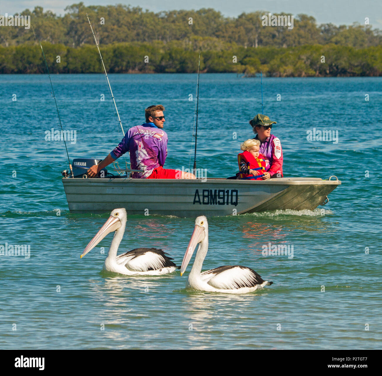 Familie, Eltern und Kind tragen Schwimmweste, Angeln vom Schlauchboot mit pelikane neben dem Boot auf ruhige, blaue Wasser von Wald gesäumt in Australien Stockfoto