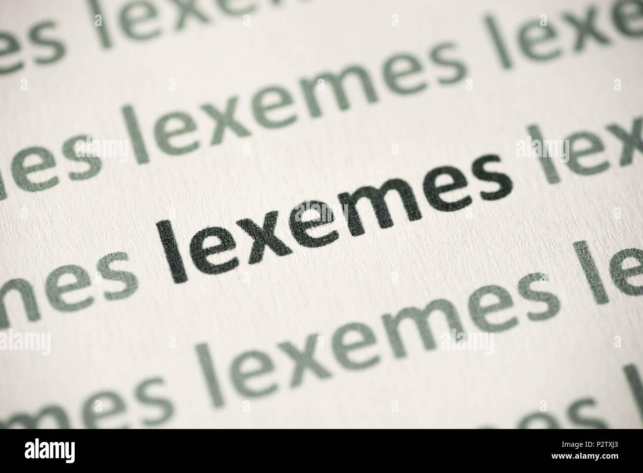 Wort Lexeme auf weißem Papier Makro gedruckt Stockfoto