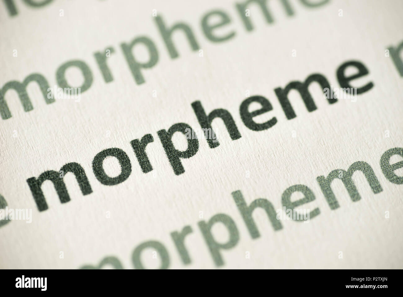 Wort Morphem auf weißem Papier Makro gedruckt Stockfoto