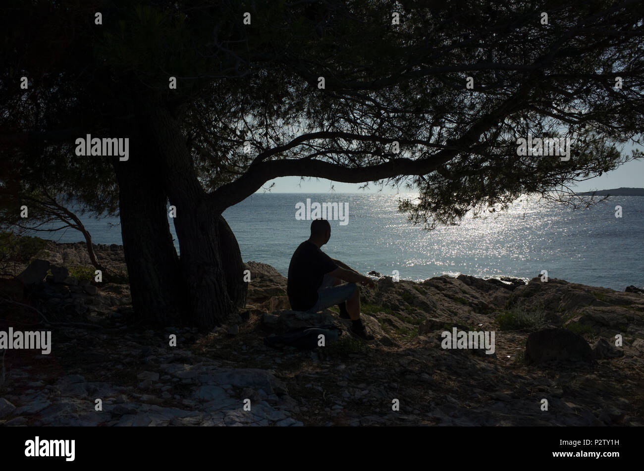 Man Sitting Under Tree Stockfotos und bilder Kaufen Alamy