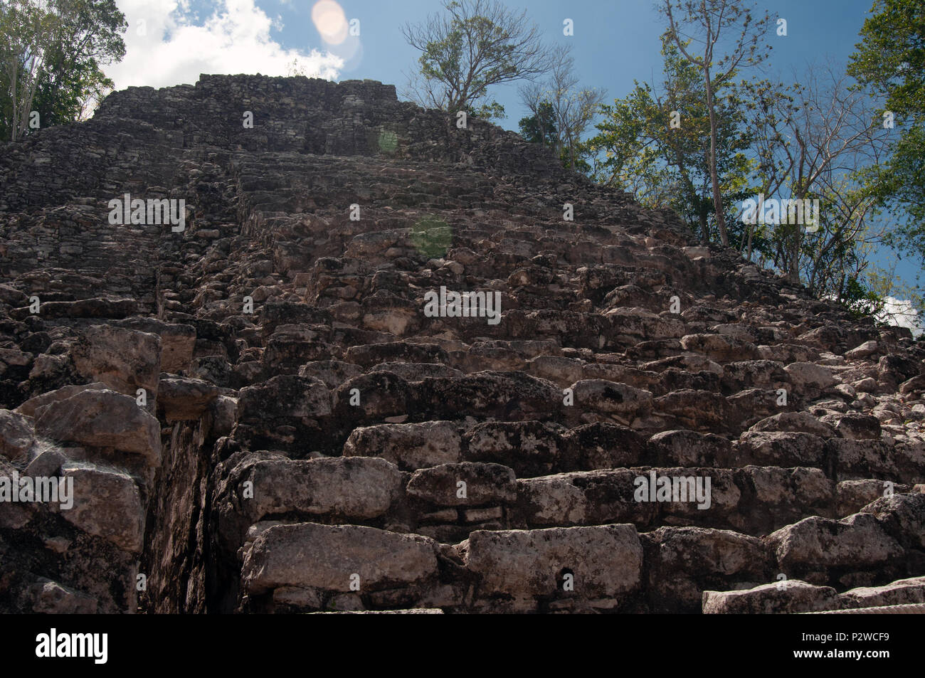 Coba, Yucatan, Mexiko Stockfoto