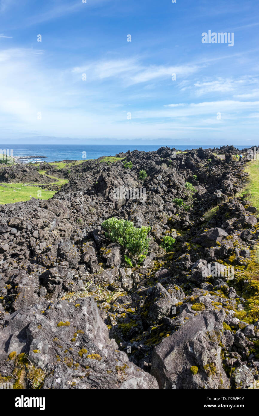 Lavafeld mit Vegetation, Tristan da Cunha, Britisches Überseegebiete, South Atlantic Ocean Stockfoto
