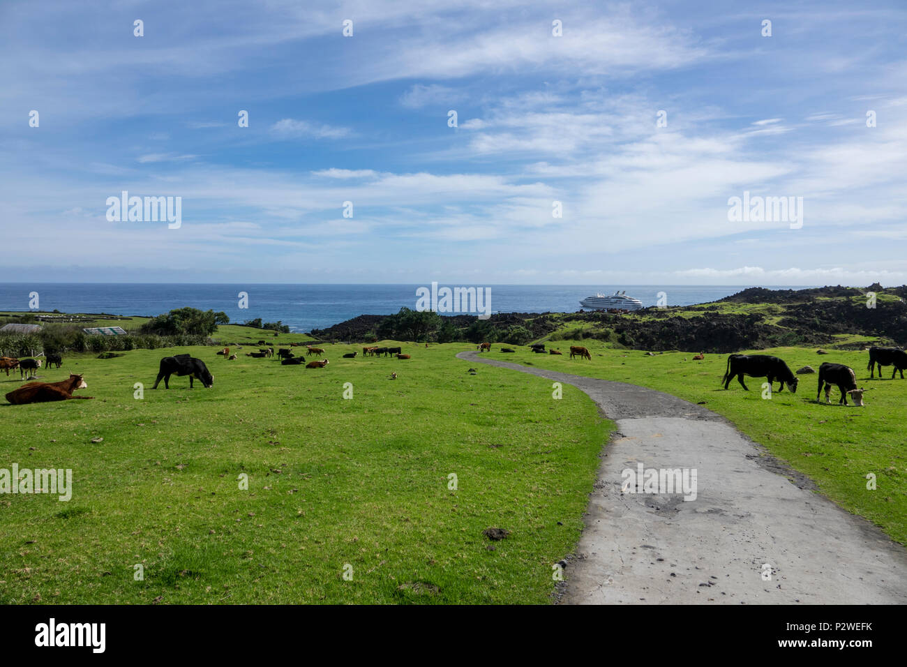 Tristan da Cunha, Britisches Überseegebiete, South Atlantic Ocean Stockfoto