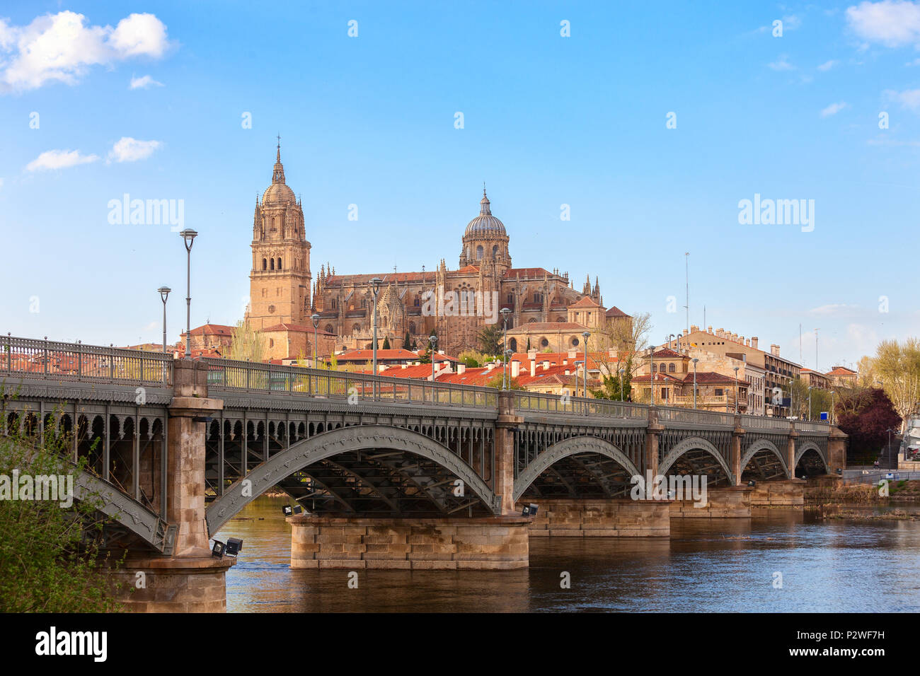 Blick auf die Neue Kathedrale von der Bank des Flusses Tormes, Salamanca, Kastilien und Leon, Spanien. Stockfoto