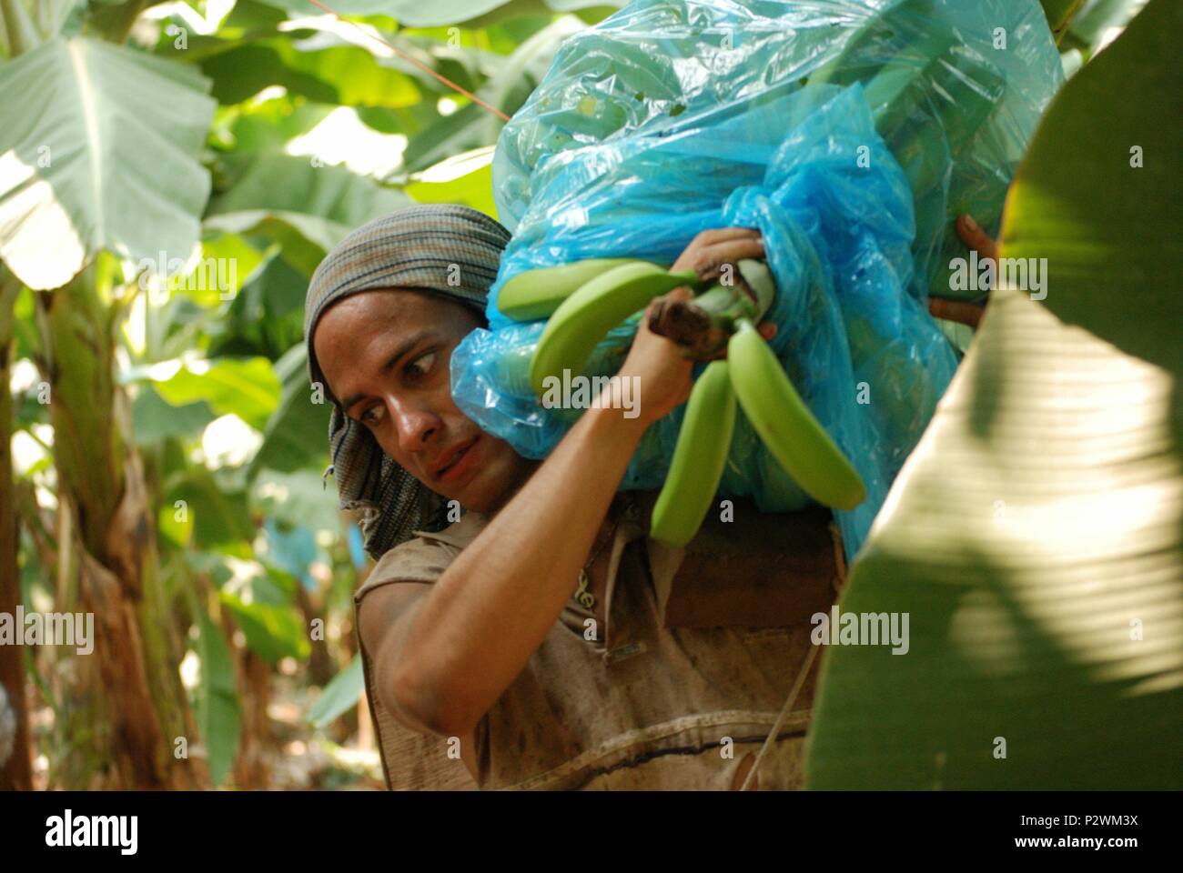 Original Film Titel: RUDO Y CURSI. Englischer Titel: RUDO Y CURSI. Regisseur: CARLOS CUARON. Jahr: 2008. Stars: Gael Garcia Bernal. Quelle: SONY PICTURES CLASSICS/Album Stockfoto