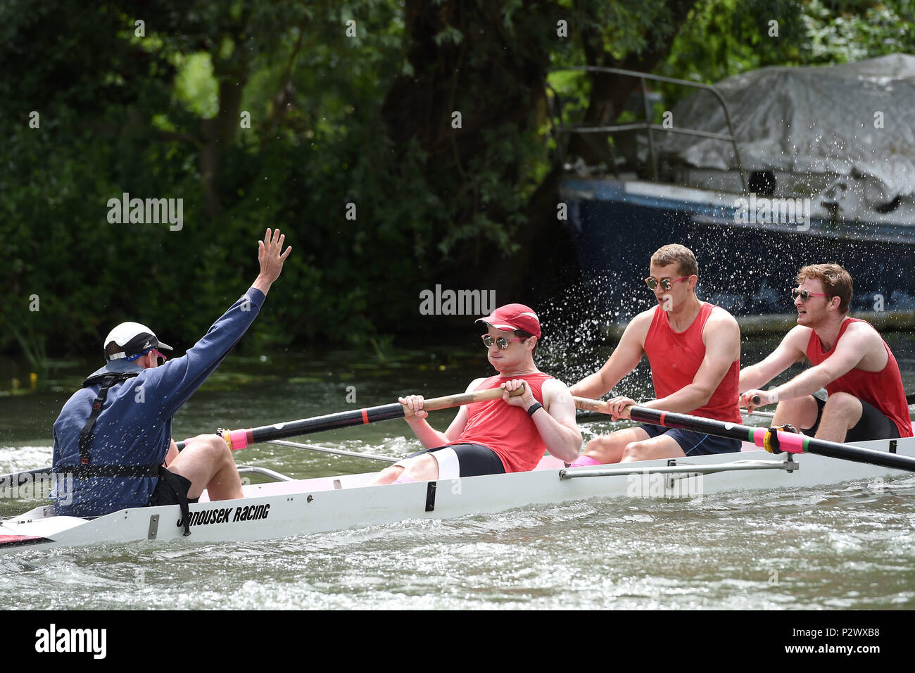 Die Cox von Lady Margaret Yacht Club, die Rowing Club für Mitglieder von St John's College, Cambridge, Signale einer Beule während der letzte Tag der Universität Cambridge können Unebenheiten auf dem Fluss Cam in Cambridge. Stockfoto