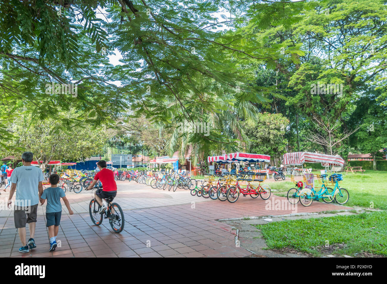 Kuala Lumpur, Malaysia - Mai 29,2018: Fahrradverleih für öffentliche in Titiwangsa See Gärten, es ist ein Freizeitpark mit einem großen See. Stockfoto