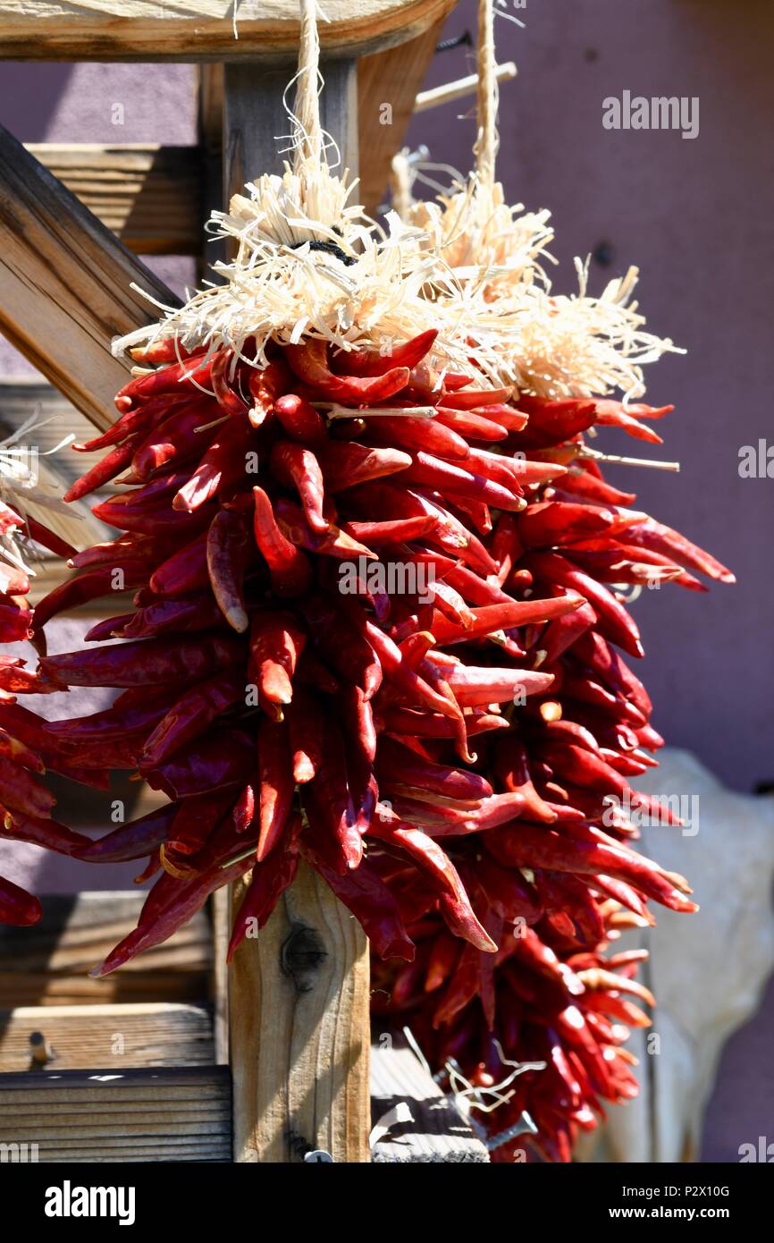 Getrocknete Chilly Peppers in Santa Fe Stockfoto