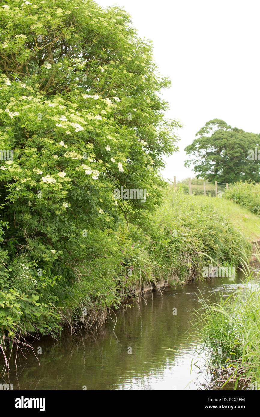 Vor dem Blick auf den Fluss Keer in Lancashire, in der Nähe von Borwick hohe keer Brücke. Der Fluss Keer ist ein kleiner Fluss, der für einen Teil seines Kurses mark Stockfoto