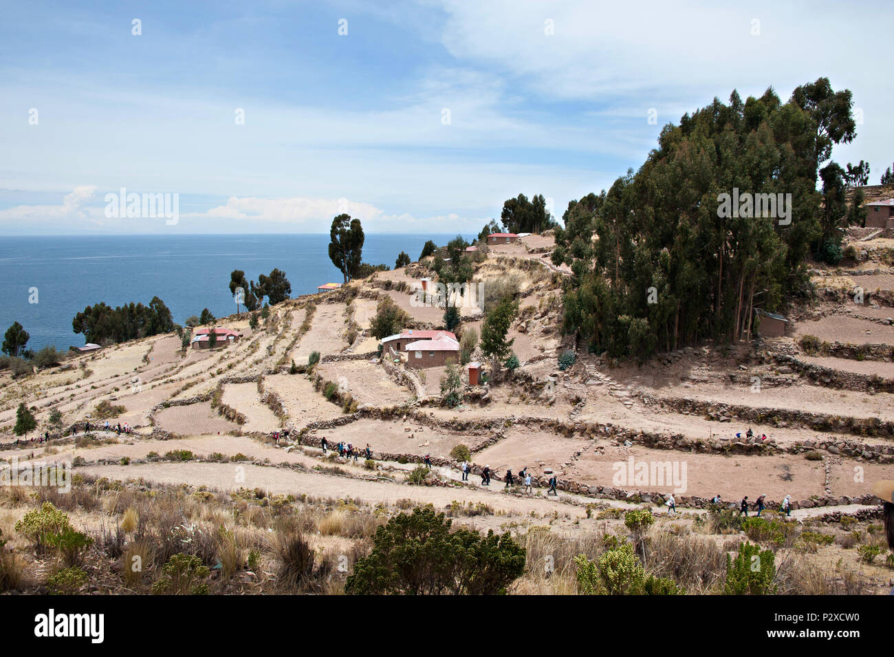 Der öffentliche Weg führt zu dem Dorf ganz oben auf dem Hügel auf der Insel Taquile, Puno, Peru, Südamerika Stockfoto