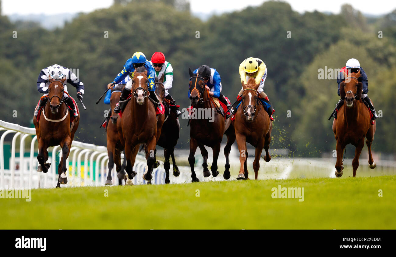 Rum Runner (Mitte, blau und gelb Gap) geritten von Pat Dobbs auf dem Weg zum Gewinnen der Randox Behinderung bei Randox Gesundheit des Herren Tag in Sandown Park Racecourse, Esher. Stockfoto