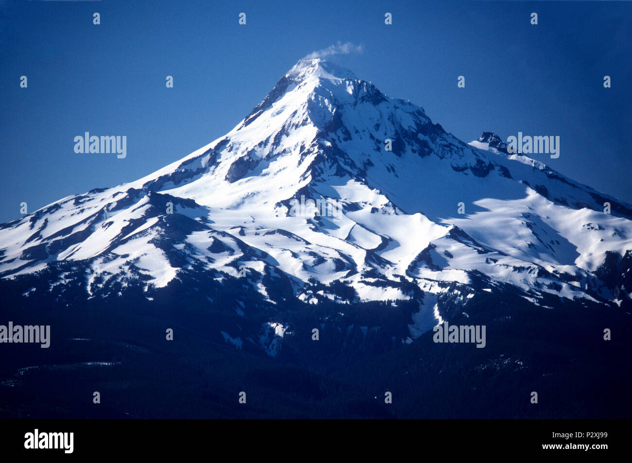 Mount Hood vom verlorenen See Butte, Mount Hood National Forest, Oregon Stockfoto