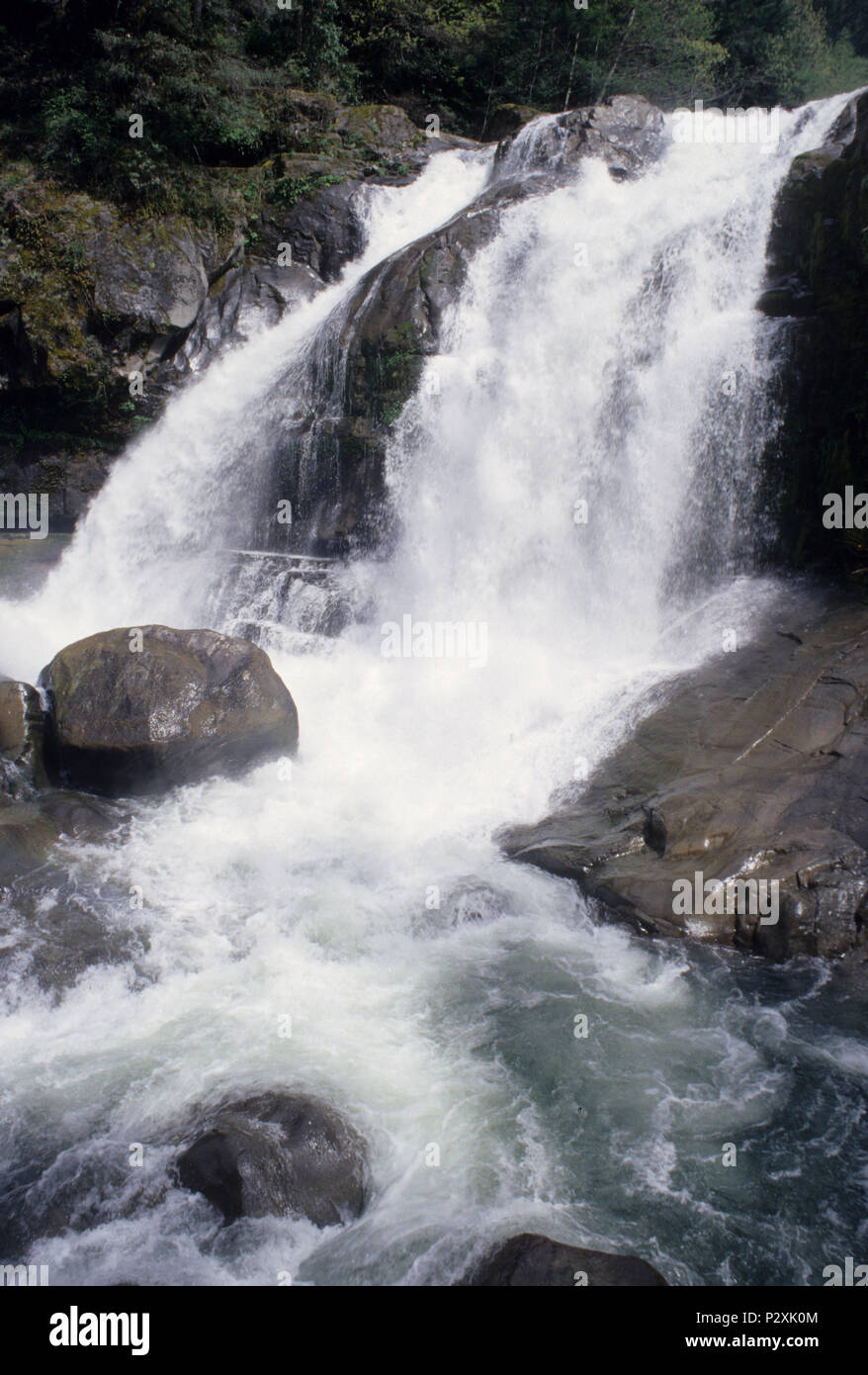 Coquille River Falls, Coquille River Falls Forschung Naturraum, Siskiyou National Forest, Oregon Stockfoto