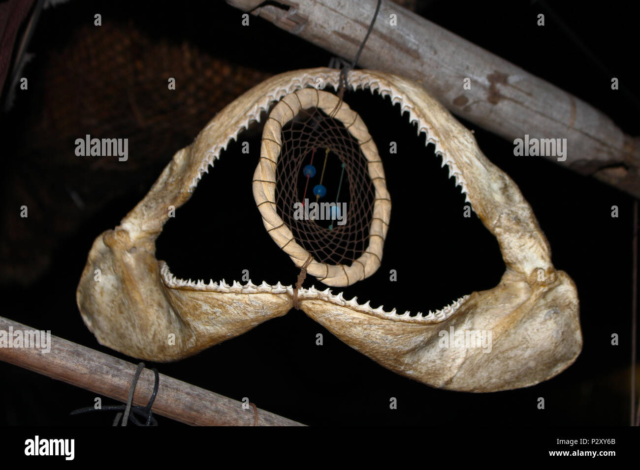 Shark jaws Dekoration Stockfoto