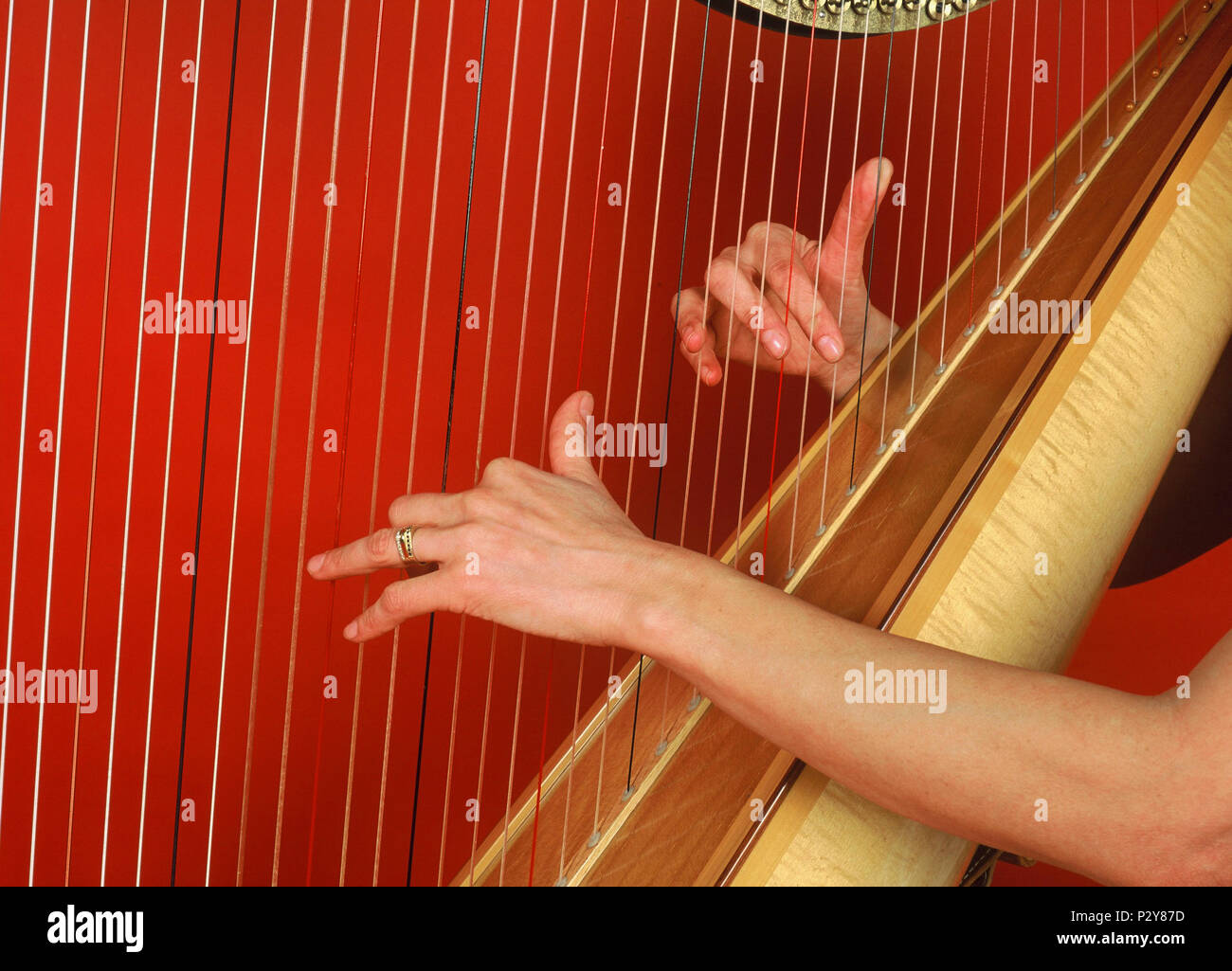 Harfenspieler spielt eine konzertharfe von Obermeyer. Stockfoto