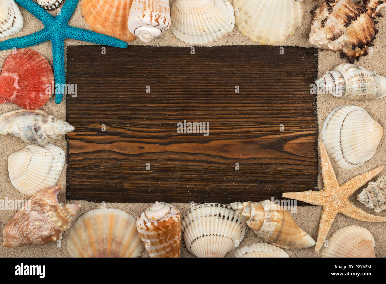 Leeren Rahmen aus dunklem Holz, Muscheln und Seesterne in den Sand. Mit Platz für Ihren Text. Ansicht von oben Stockfoto