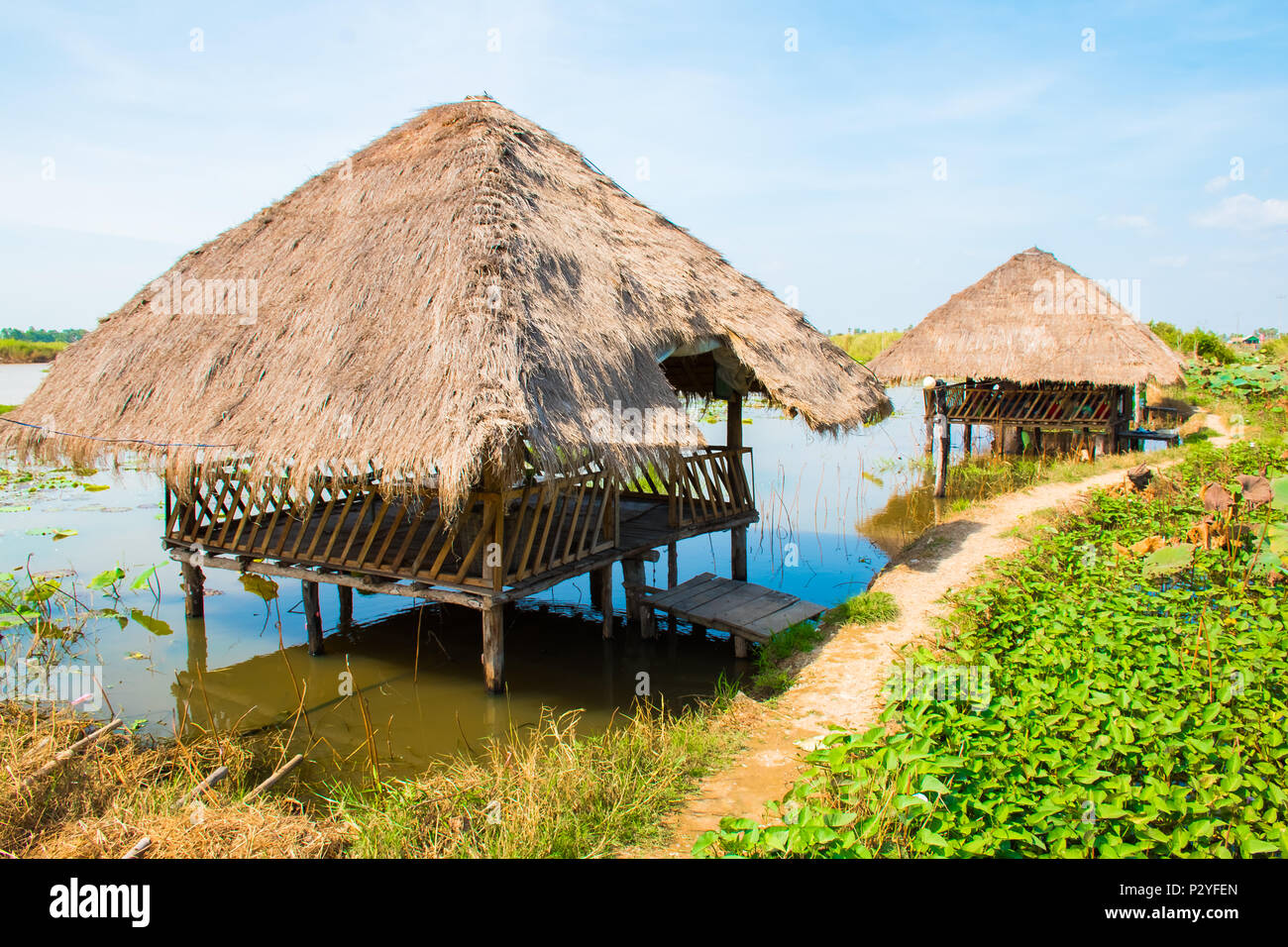 Lotus Blumen Feld und Bauernhof mit Hütten in der Nähe von Phnom Krom, Siem Reap, Kambodscha Stockfoto