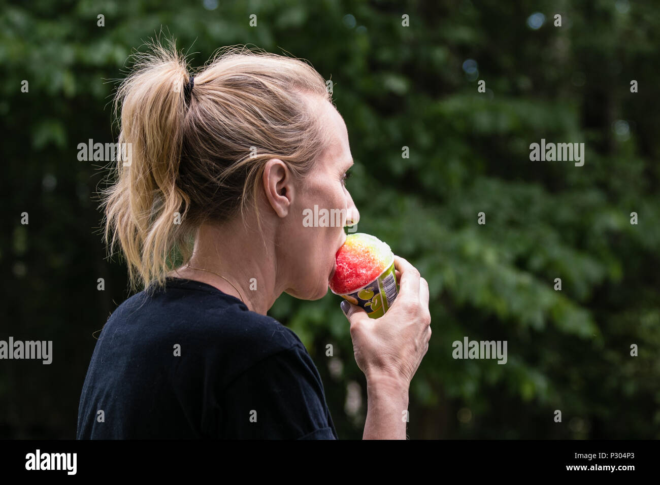 Rasiert Eis im Wald Stockfoto