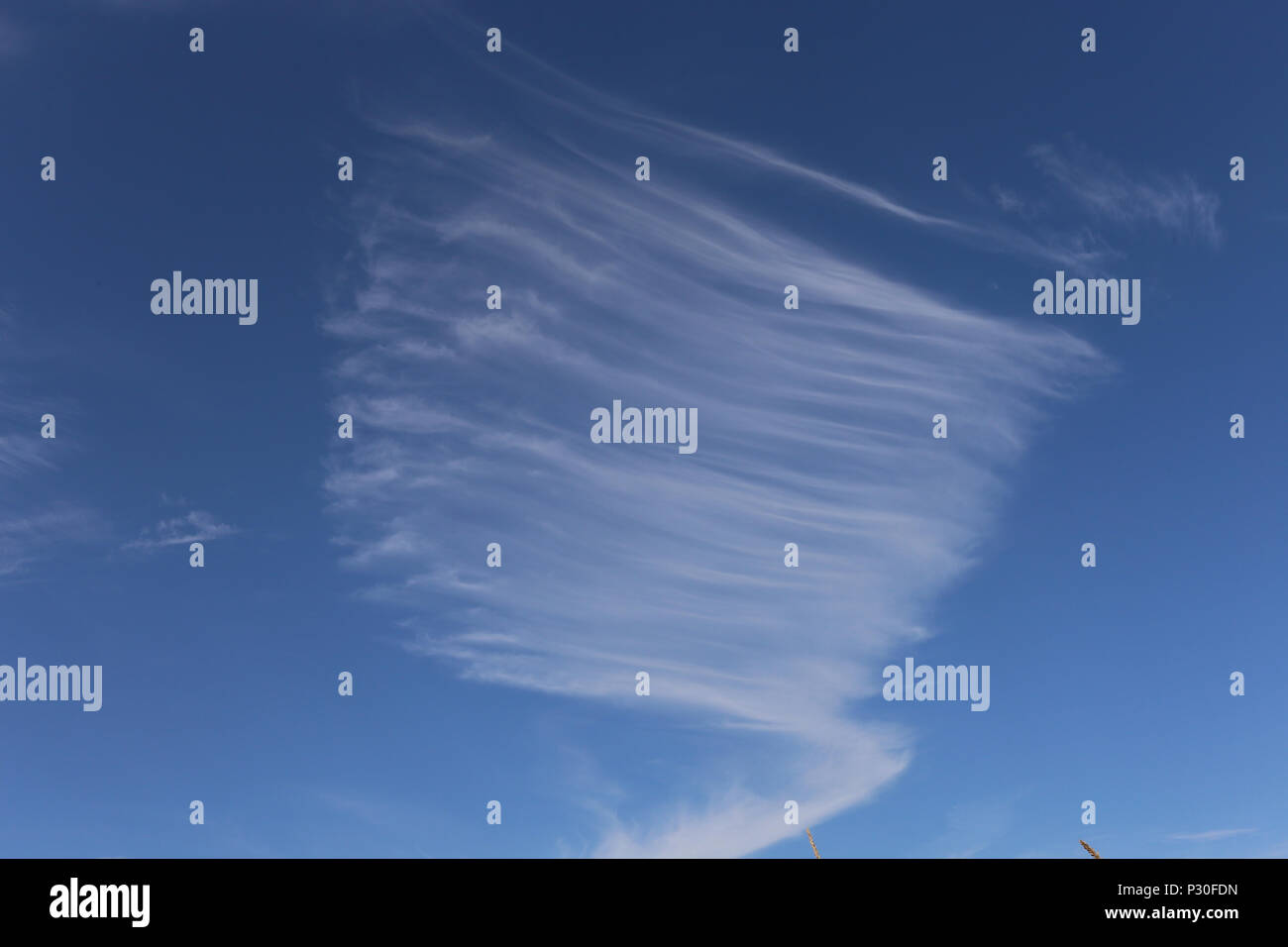Hohwacht, Deutschland, Cirrus Wolken im Himmel Stockfoto