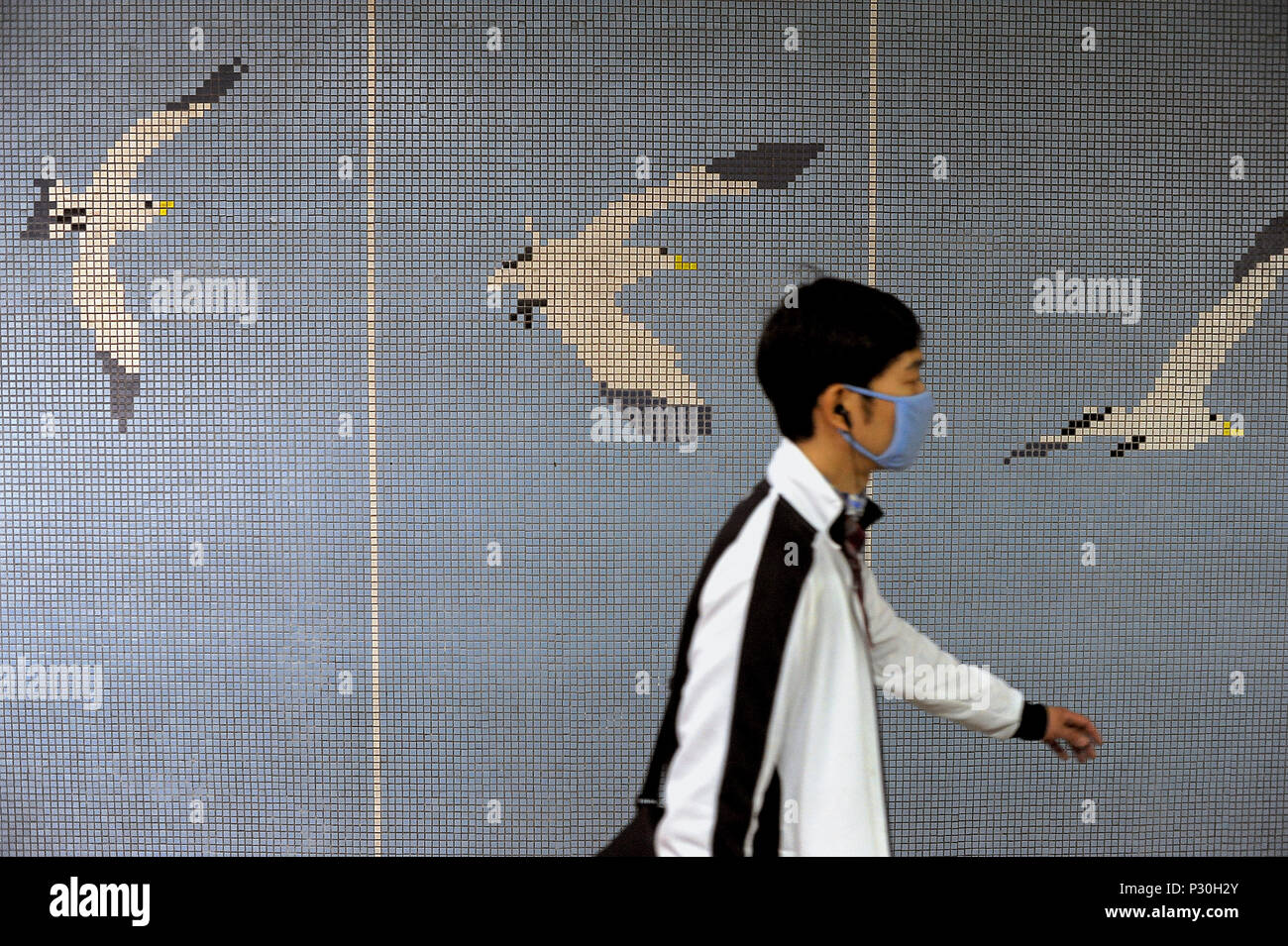 Seoul, Nordkorea, Symbol für Vogelgrippe Stockfoto