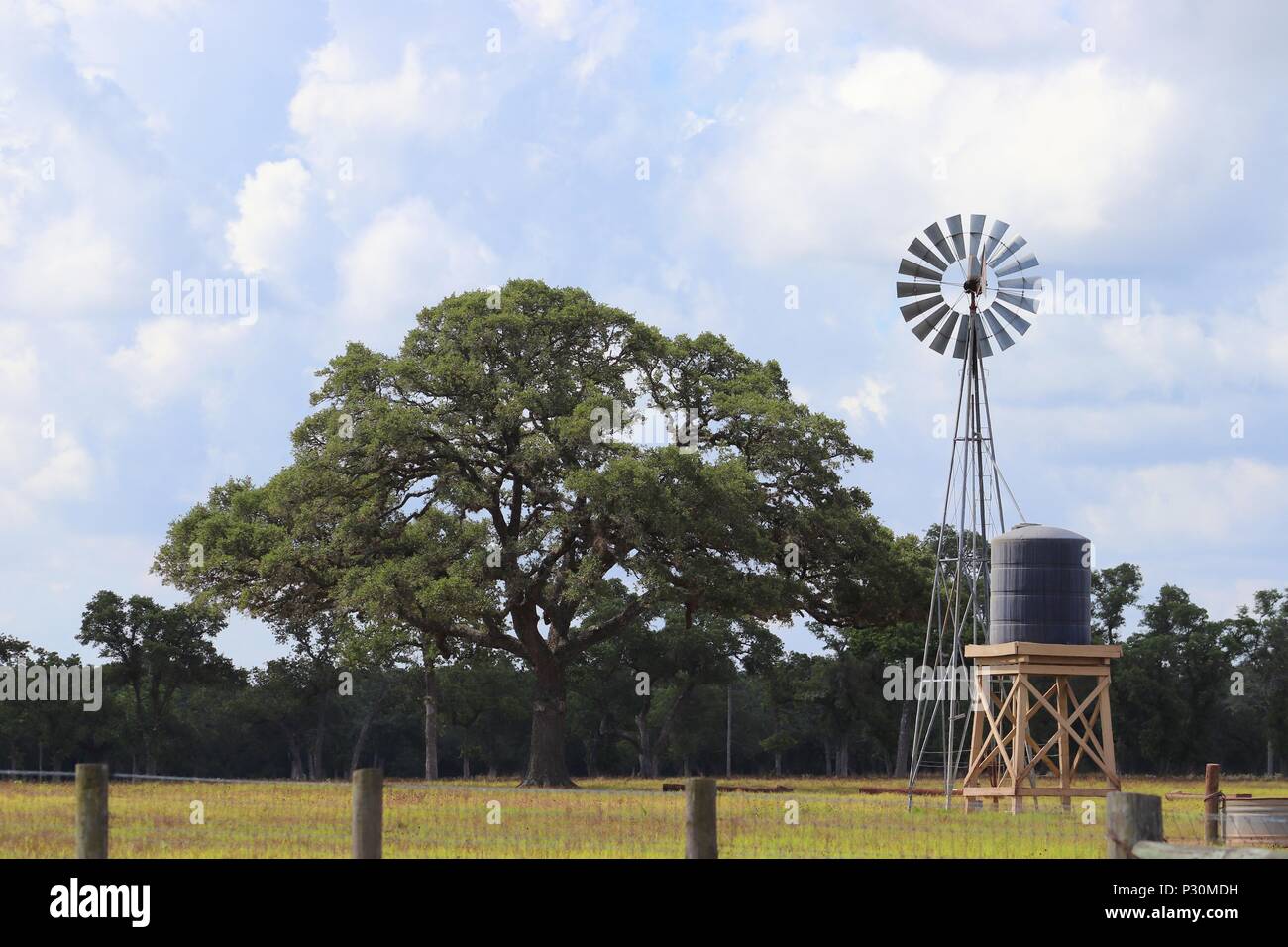 Ländliche Landschaft in Texas, Vereinigte Staaten von Amerika. Eiche und Windmühle auf Ackerland, texanische Ranch, Lone Star State. Stockfoto