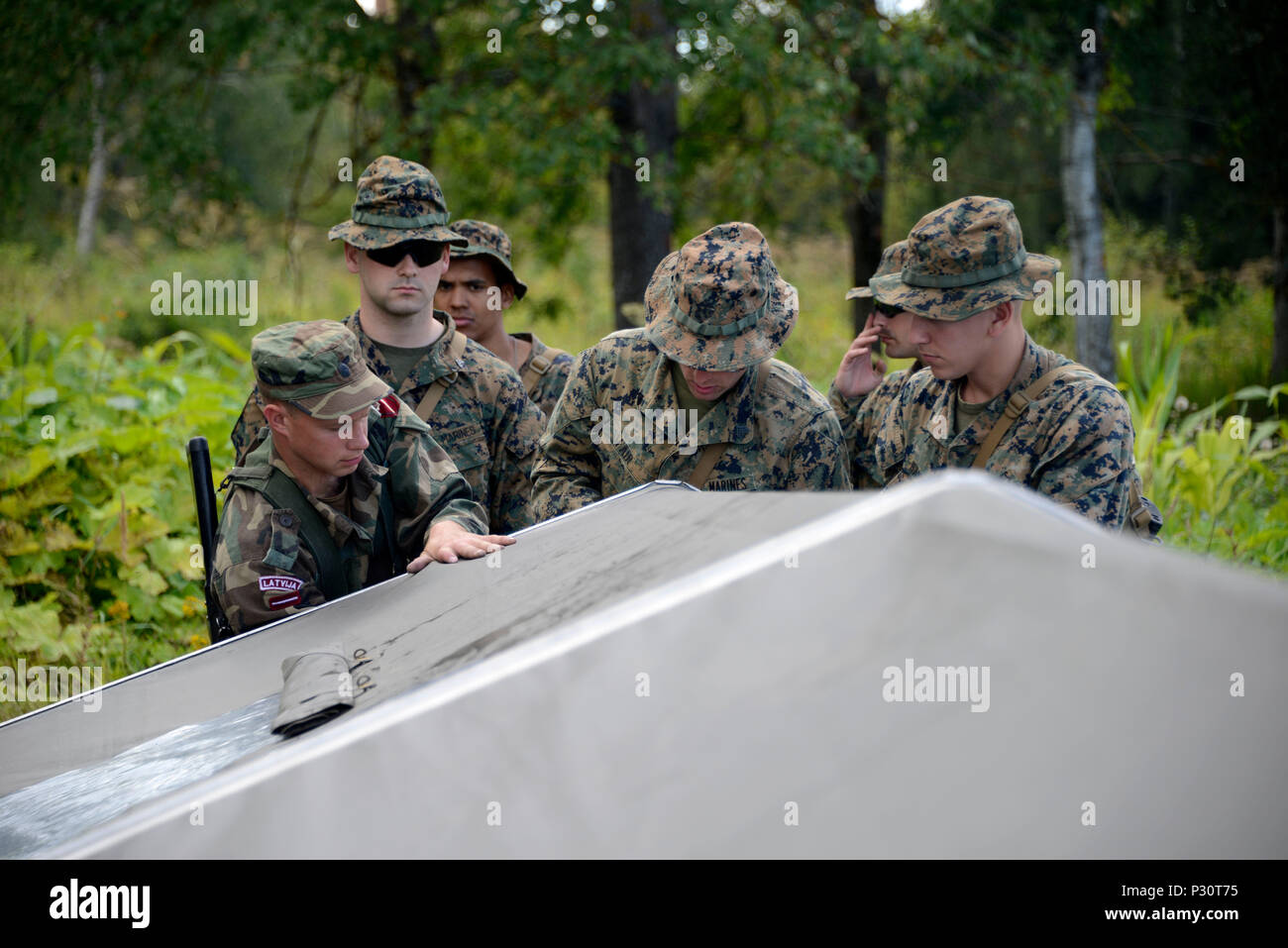 Lima Company, 3.Bataillon, 25 Marines, helfen, ein Zemessardze (Lettische National Guard) Soldaten ein Zelt in der Nähe von Tukums, Lettland, 12.08.2016. Die Marines, zusammen mit den Soldaten des 177Th Military Police Brigade, Michigan National Guard, beteiligen sich an Starker Wächter, eine jährliche Lettisch-led-Training. Starker Wächter 2016 zeigt die anhaltende US-Engagement für die Sicherheit der NATO-Staaten vor dem Hintergrund der zunehmenden Spannungen in Osteuropa. (U.S. Armee Foto: Staff Sgt. Kimberly Bratic/Freigegeben) Stockfoto