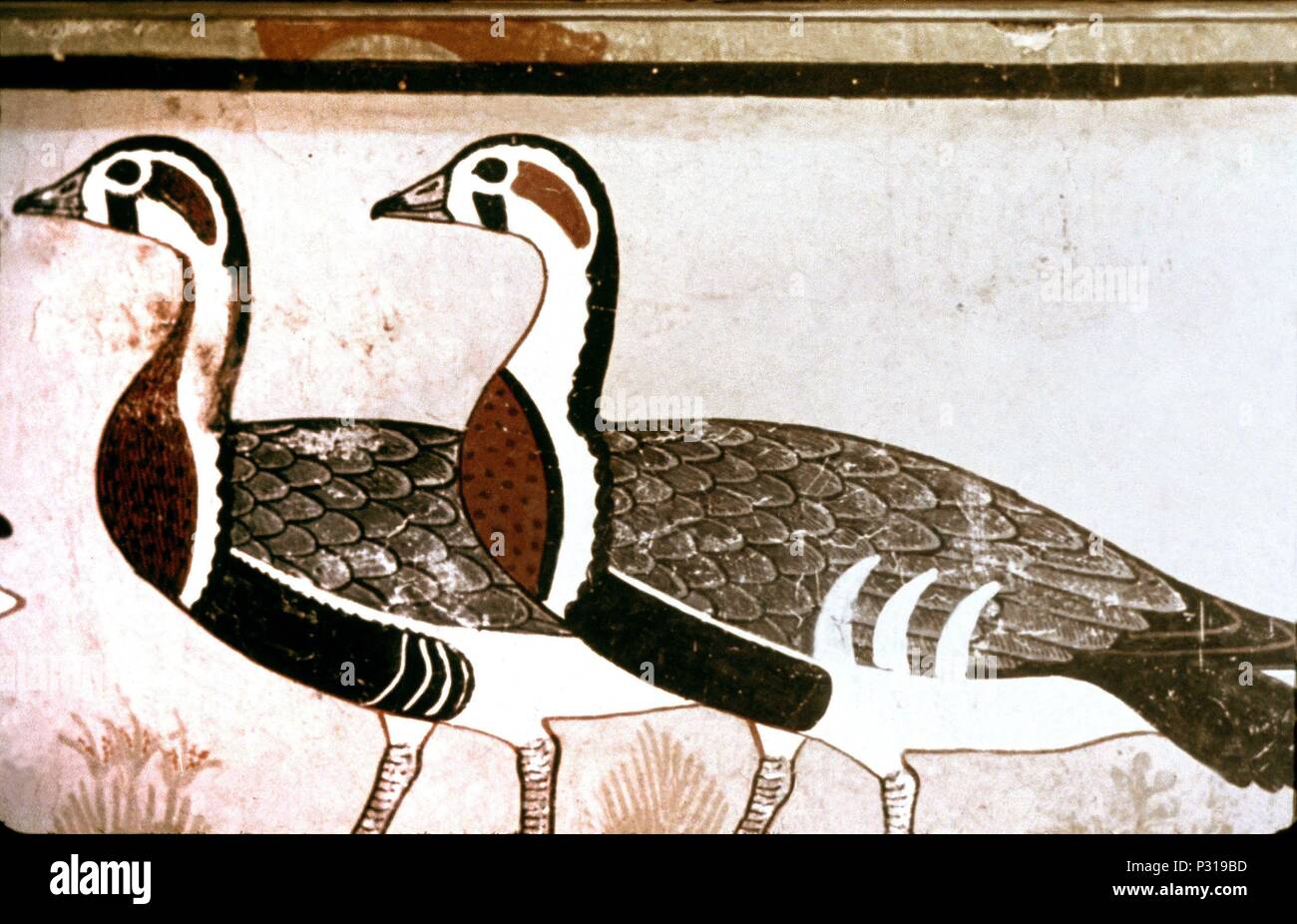 DOS OCAS DE MEIDUM - IV DINASTIA (HACIA 2923 AC). Ort: Ägyptisches Museum, Kairo. Stockfoto