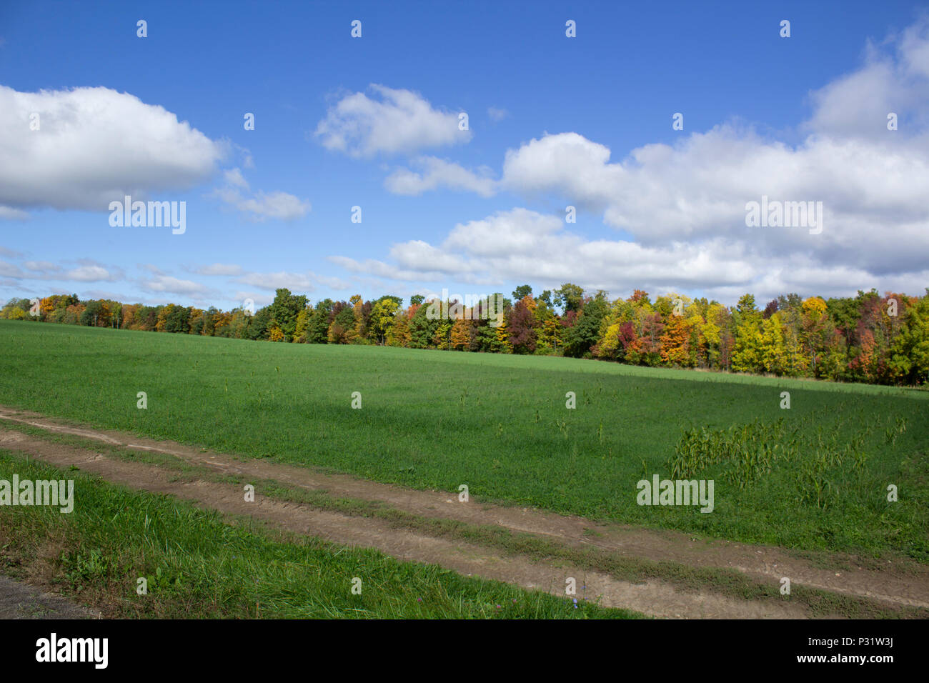 Herbst in Upstate NY Finger Lakes Region Stockfoto
