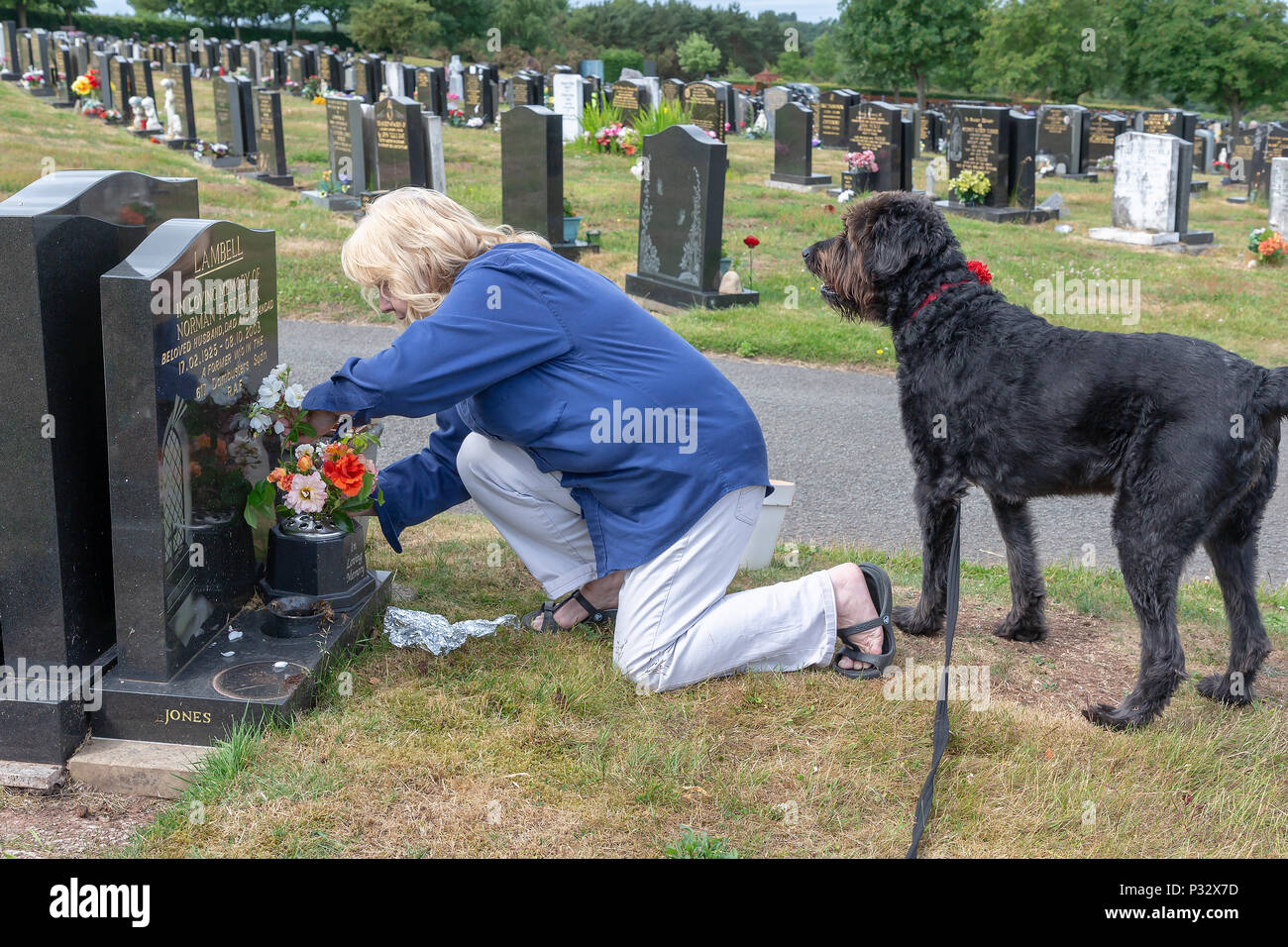 Warrington, Großbritannien, 17. Juni 2018 - Vatertag - Reife blonde Lady verbindet viele andere, indem sie Blumen auf dem Grab ihres verstorbenen Vaters. Fox Verdeckte, Warrington, Cheshire, England, UK Credit: John Hopkins/Alamy leben Nachrichten Stockfoto