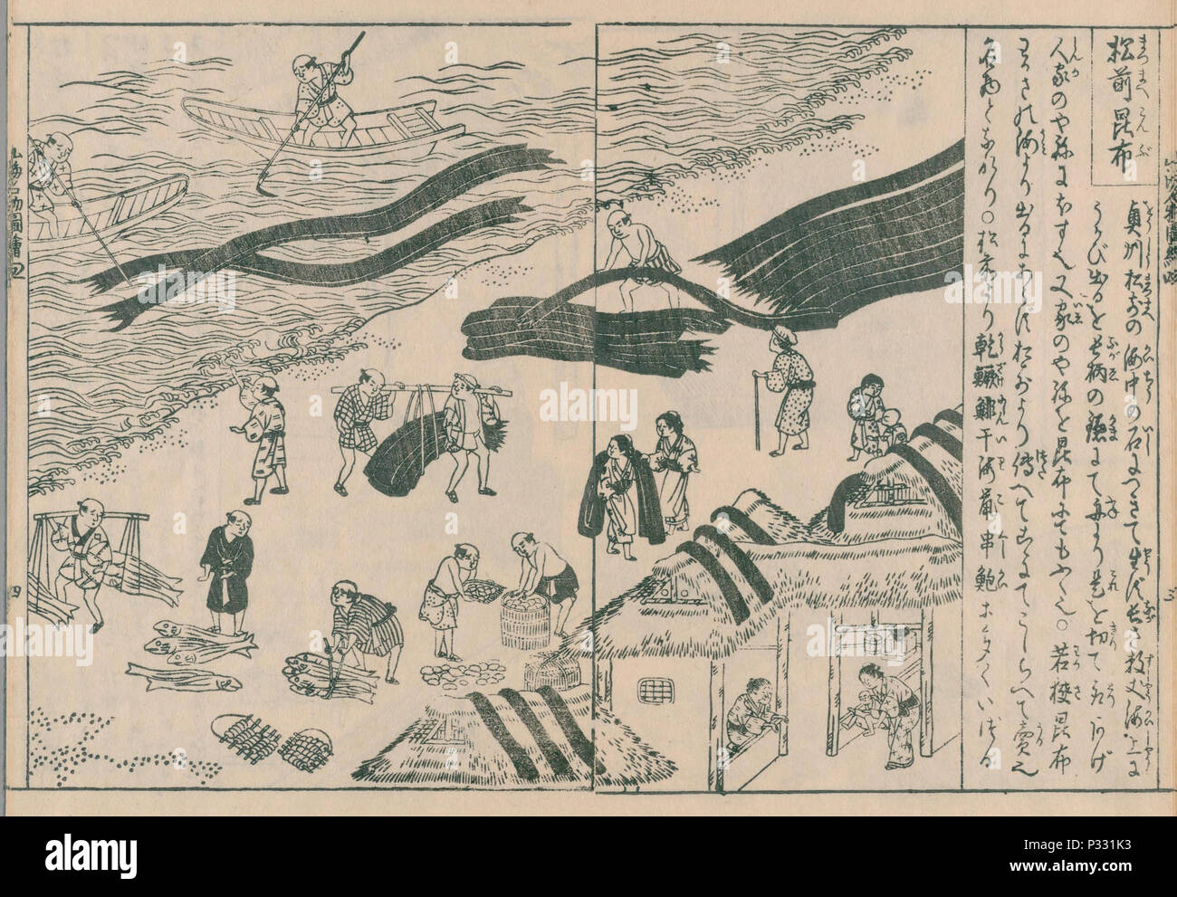 Seetang-Produktion in Matsumae von „ Nihon sankai meisan zue“, veröffentlicht 1797, Künstler Mitsunobu Hasegawa Stockfoto