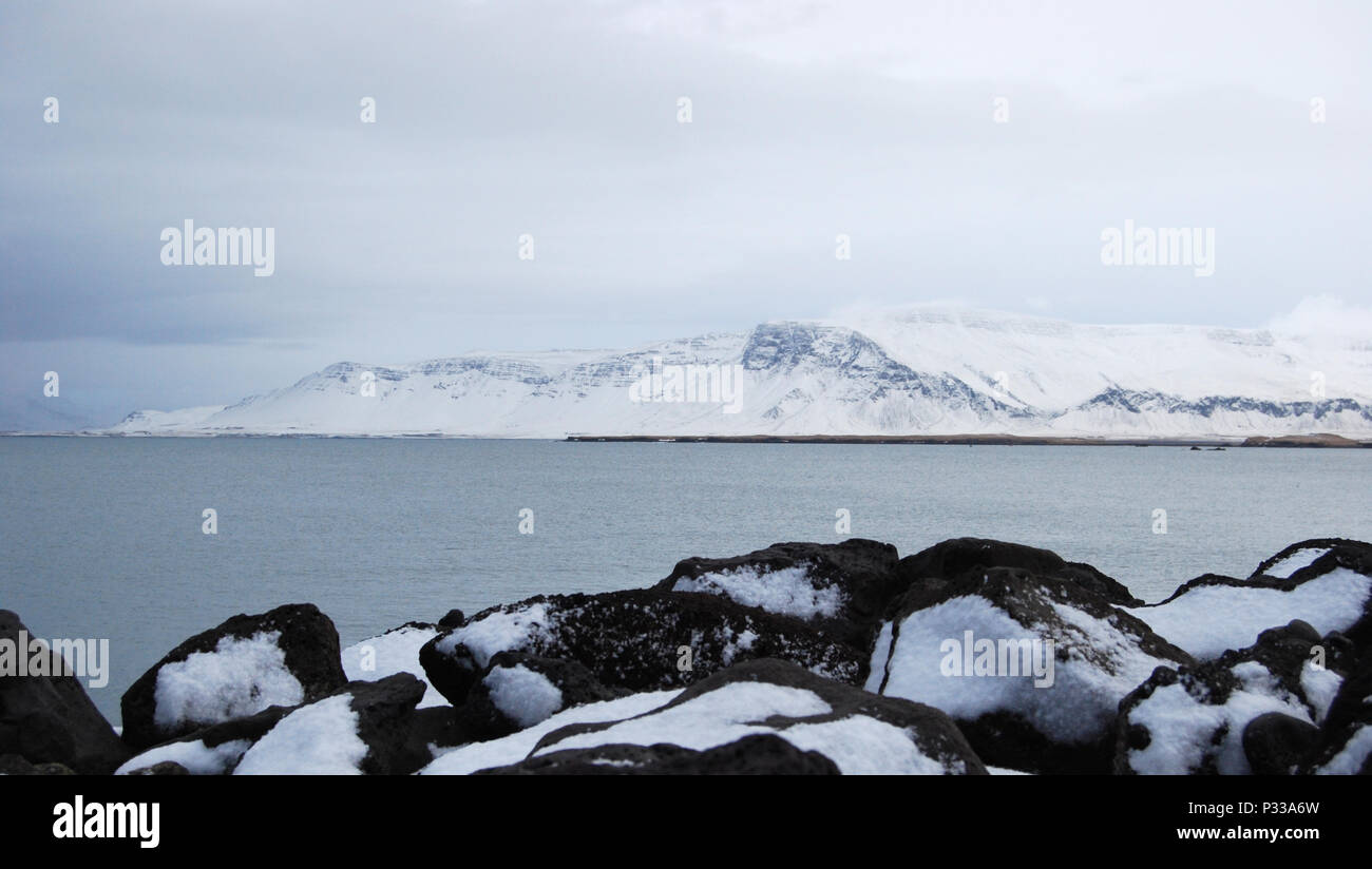 Hafen Stadt Reykjavik, Island, Europa Stockfoto