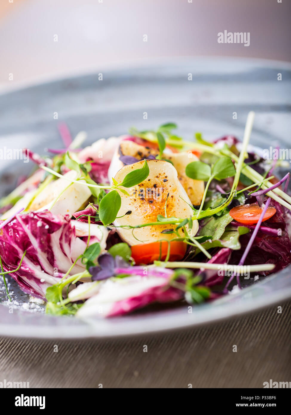 Salat mit Ziegenkäse und Kräutern Dekoration. Stockfoto