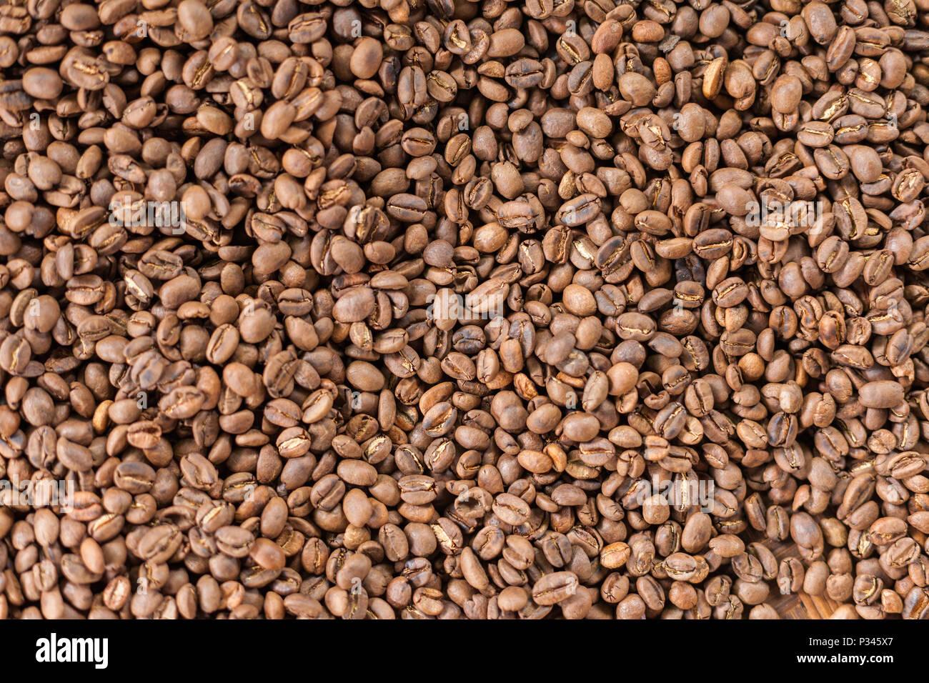 Frisch geröstete Kaffeebohnen in der Nähe von Banyuwangi, Java, Indonesien Stockfoto