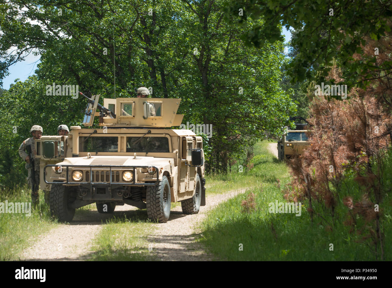 Der 137 Transportunternehmen mit den Kansas National Guard verhalten Konvoi Operationen während der Zähler Improvised Explosive Device Ausbildung bei der Custer State Park, S.D., am 12. Juni 2018. Die goldenen Coyote Ausbildung Übung ist eine dreiphasige, Szenario-driven Übung in den Black Hills von South Dakota und Wyoming, mit dem Kommandanten auf der Mission wesentliche Anforderungen der Aufgabe, Krieger Aufgaben und Übungen zu konzentrieren. (U.S. Armee Foto von SPC. Jeffery Harris) Stockfoto