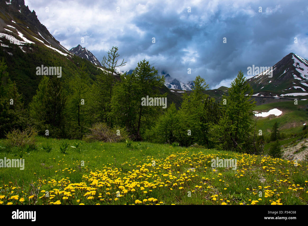 Frühling in den französischen Alpen Stockfoto