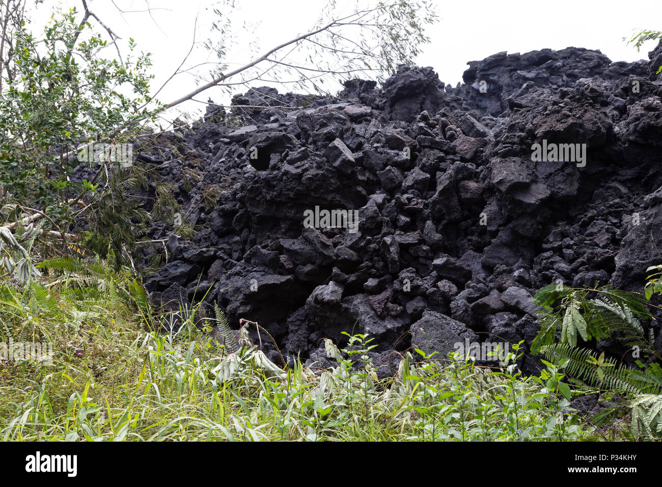 Nahaufnahme einer Lava des Vulkans Kilauea auf Hawaii die Zerstörung der Vegetation Stockfoto