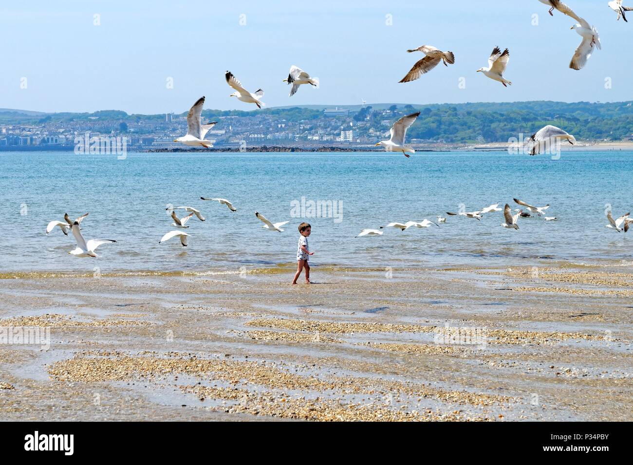 Little Boy jagt Möwen am Strand von Mounts Bay, Penzance Cornwall England Großbritannien Stockfoto