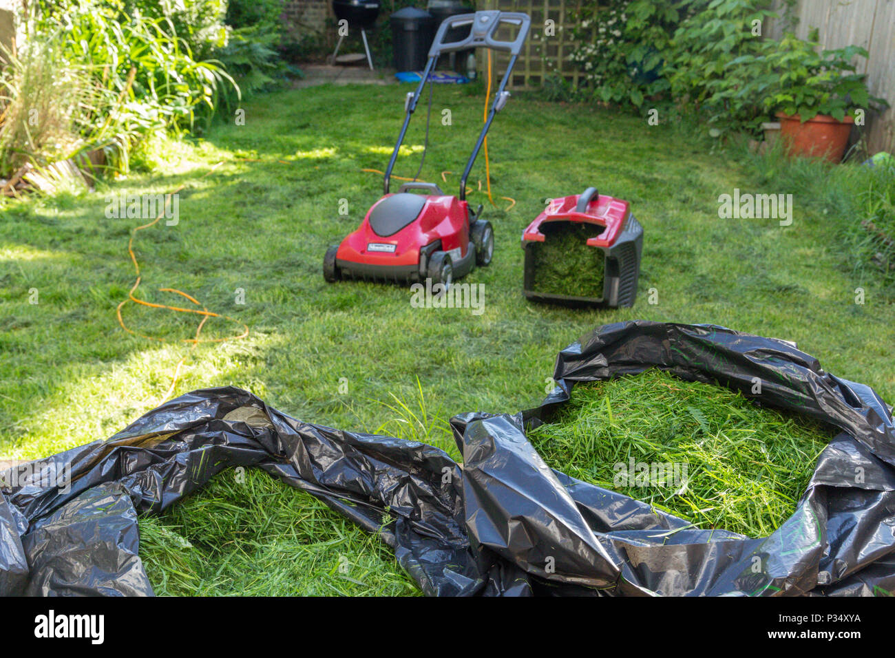 Ein Haushalt Garten Rasen Mähen mit schwarzer Tasche von frisch geschnittenem Gras Abfälle Stockfoto