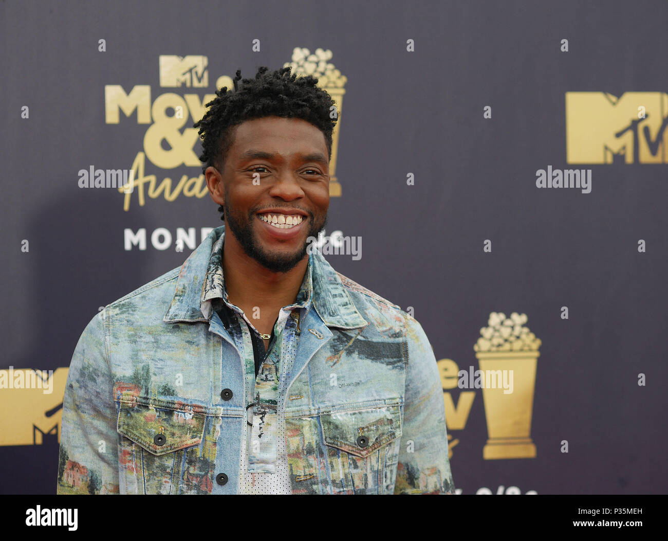 Chadwick Boseman Teilnahme an die 2018 MTV Movie und TV Auszeichnungen bei den Barker Hangar in Los Angeles, USA statt. PRESS ASSOCIATION Foto. Bild Datum: Samstag, Juni 16, 2018. Photo Credit: Francis Specker/PA-Kabel Stockfoto