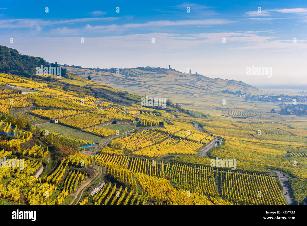Weinberge im Chateau de Kaysersberg - Elsass in Frankreich - Reiseziel in Europa Stockfoto