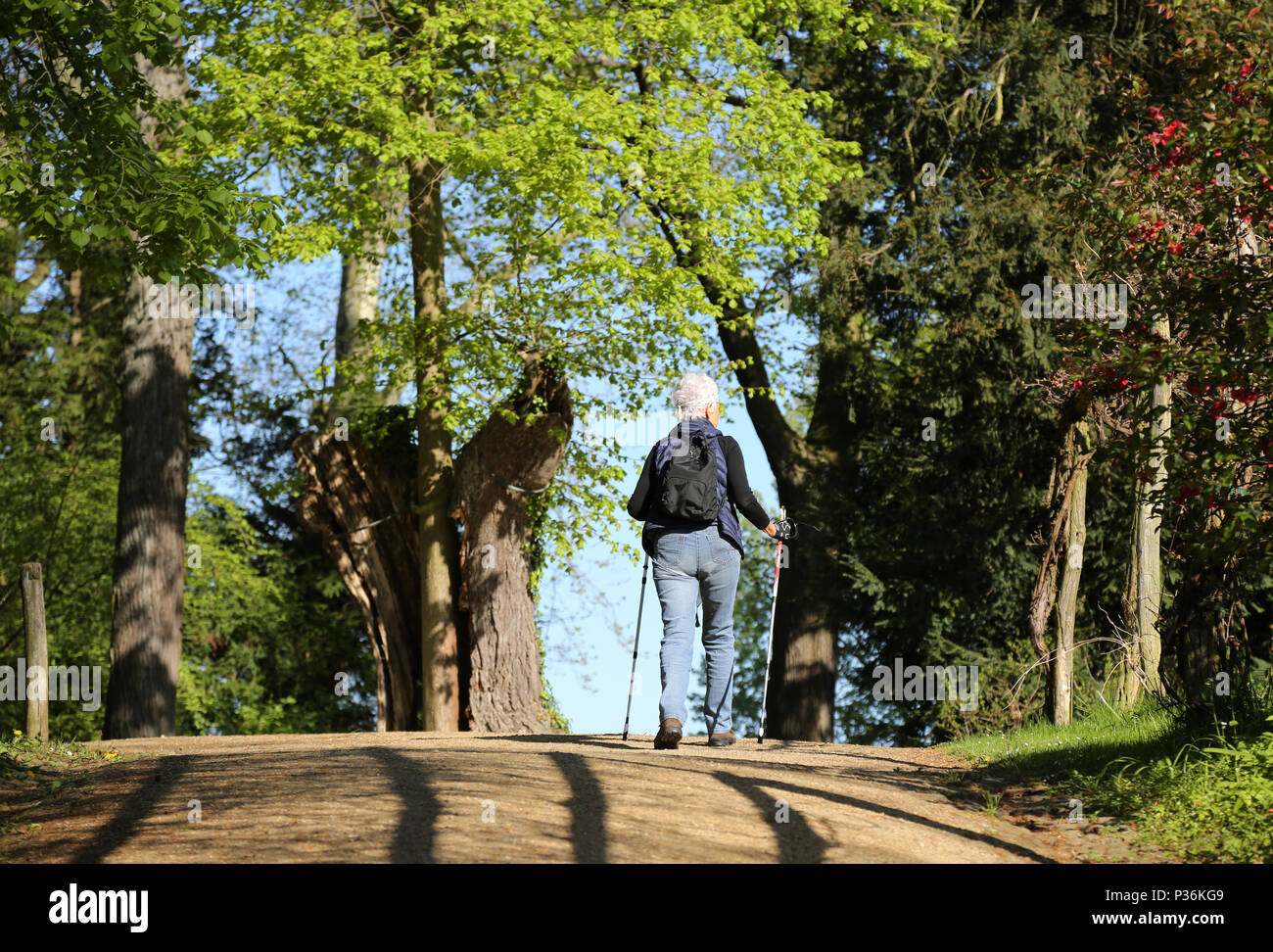 Berlin, Deutschland, Frau in Nordic Walking Stockfoto