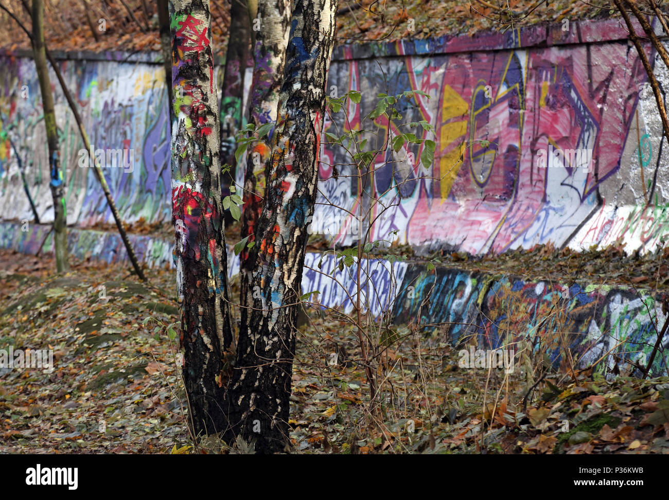 Berlin, Deutschland, bunt bemalten Birken im Natur-Park Suedgelaende Stockfoto