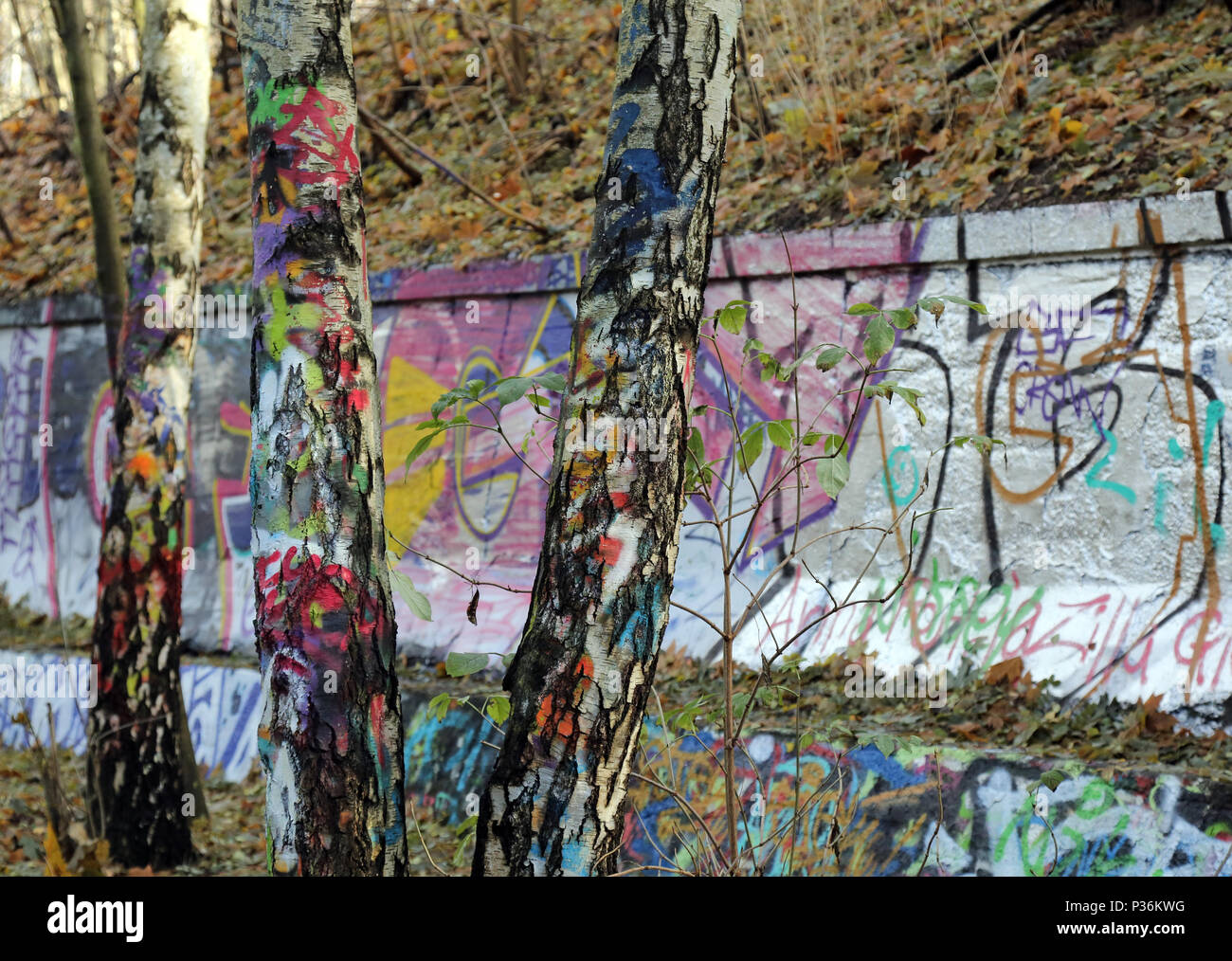 Berlin, Deutschland, bunt bemalten Birken im Natur-Park Suedgelaende Stockfoto