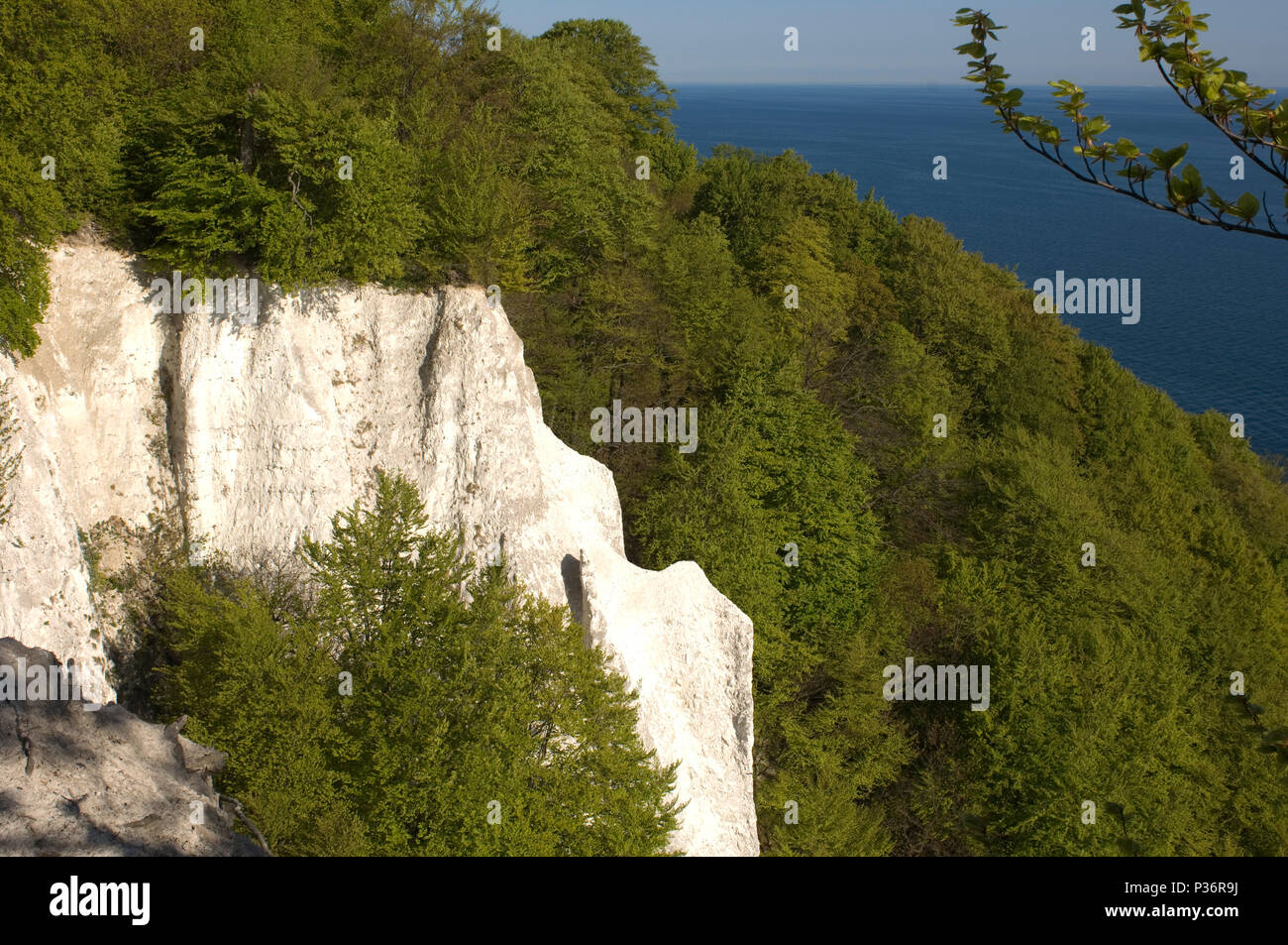 Sassnitz, Deutschland, Blick auf den Königsstuhl in der Nähe der Nationalpark Jasmund Stockfoto