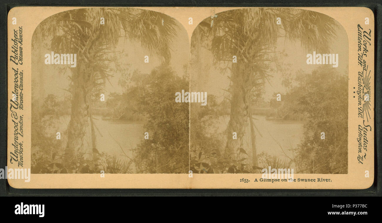 . Ein Blick auf die Suwanee River. Alternative Titel: Nr. 1653. Erstellt: Ca. 1895. Abdeckung: [Ca. 1895]. Quelle Impressum: 1870?-1895?. Digitale Element veröffentlicht 6-30 2005; 2-12-2009 aktualisiert. 11 Ein Blick auf die Suwanee River, von Littleton, Co.6 Stockfoto