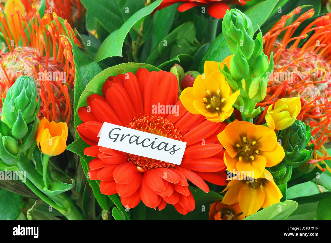 Gracias (vielen Dank, dass Sie sich in Spanisch) mit bunten Blume Hintergrund Stockfoto